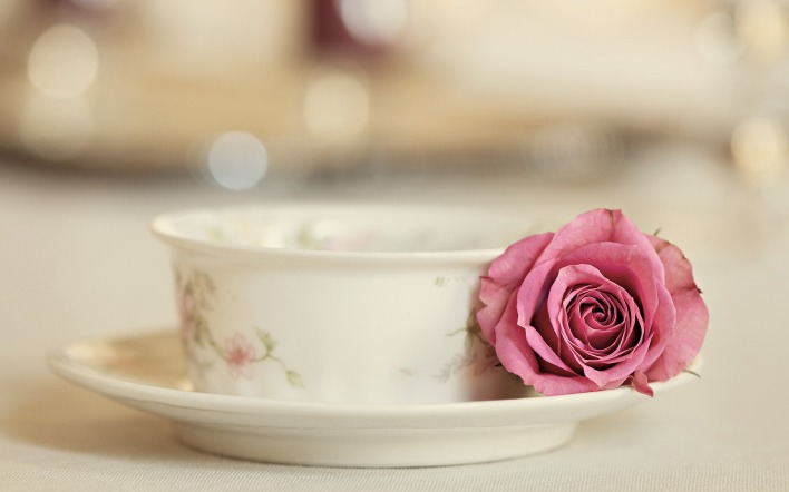 Роза возле тарелки