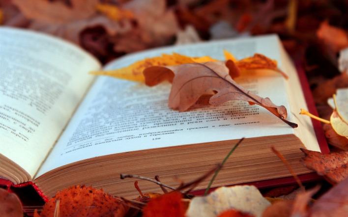 природа книга лист осень