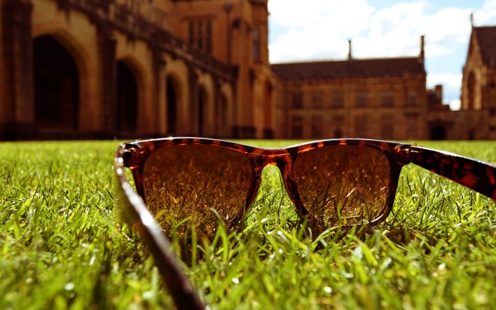 соллнечные очки трава природа