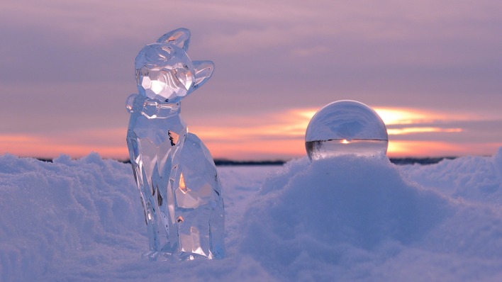 природа зима скульптуры лед животные кот снег