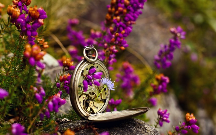 природа цветы часы