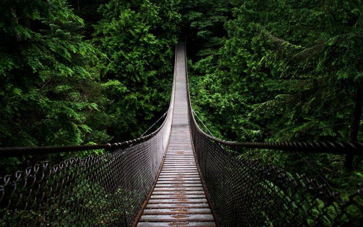 мост навесной обрыв ущелье лес