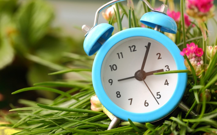 часы будильник трава
