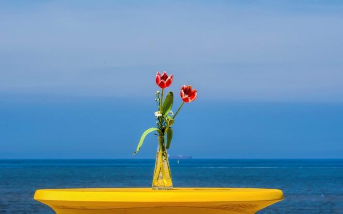 тюльпаны ваза море