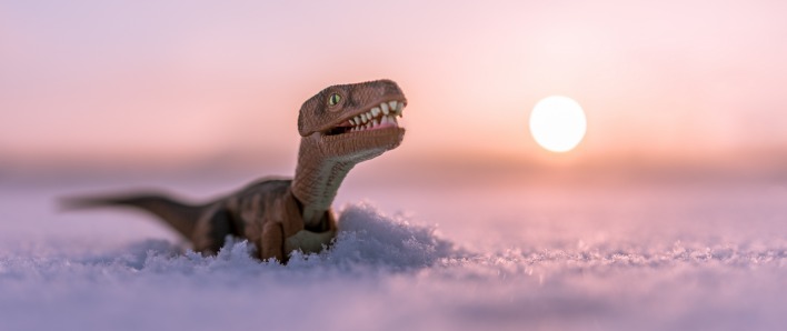 динозавр снег игрушка солнце