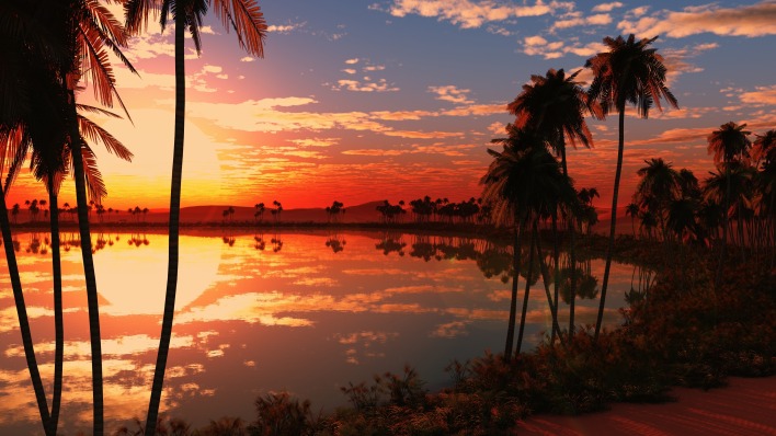 озеро пальмы закат отражение