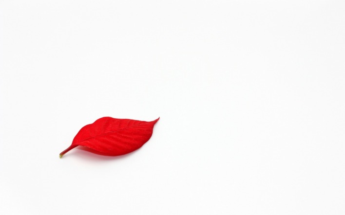 листок красный минимализм