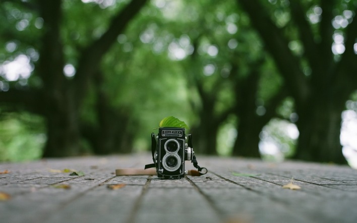 фотоаппарат деревья доски