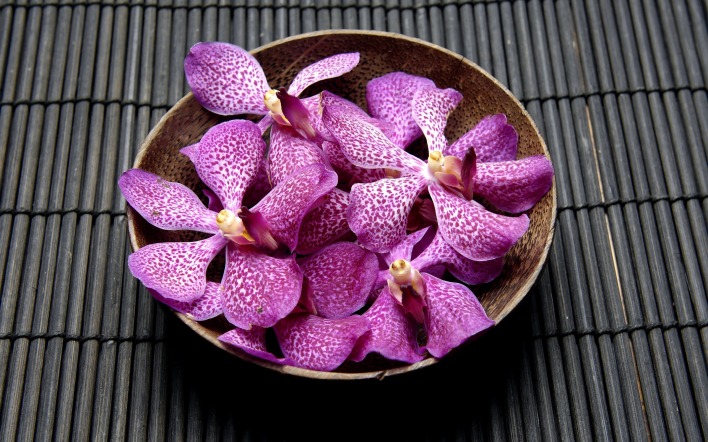 орхидея лепестки миска фиолетовые