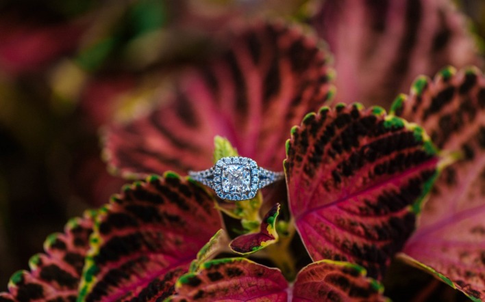 листья кольцо украшение бриллианты