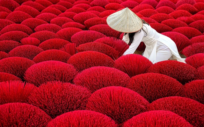 растения красный девушка япония