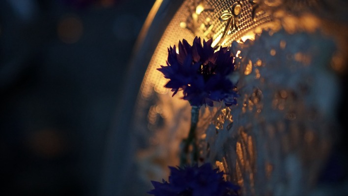блюдо стекло цветок василек