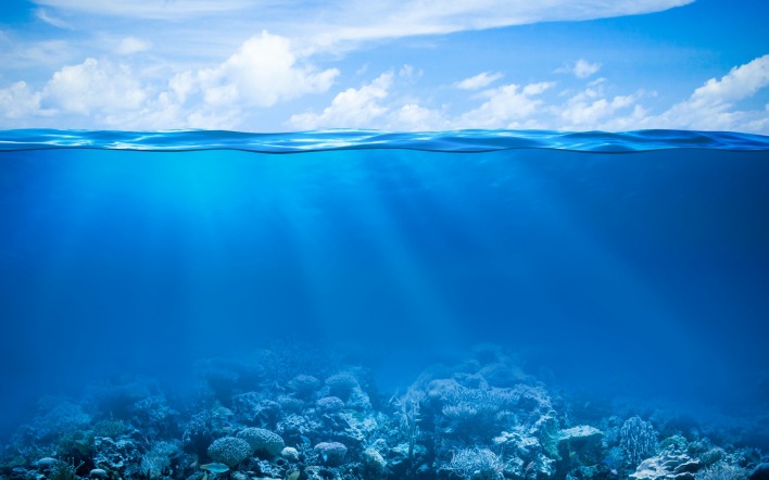 море вода под водой кораллы синева