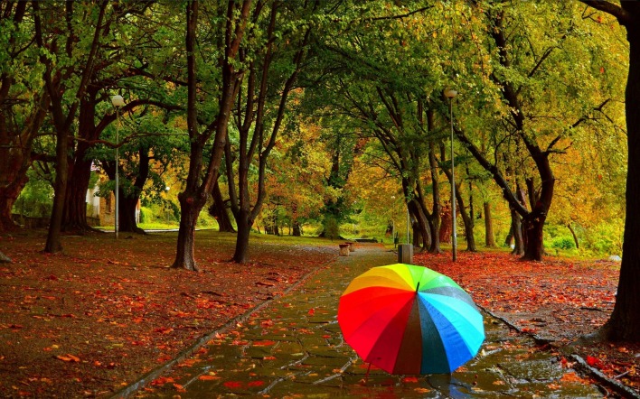 зонт радужный парк деревья