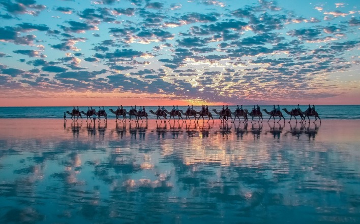 караван верблюды побережье горизонт на закате