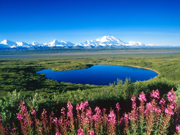Tundra Pond, Mount McKinley, Denali National Park, Alaska