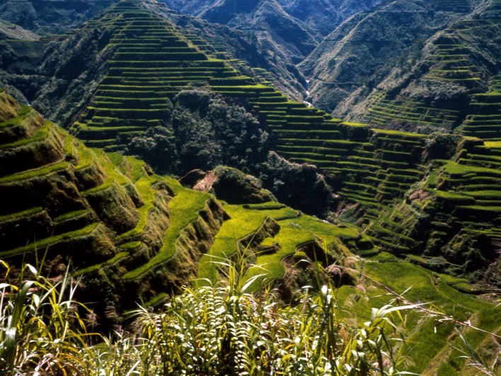 Ancient Rice Terraces, Philippines
