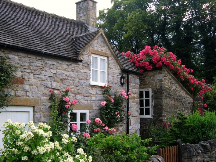 Цветы на крыше дома, Англия