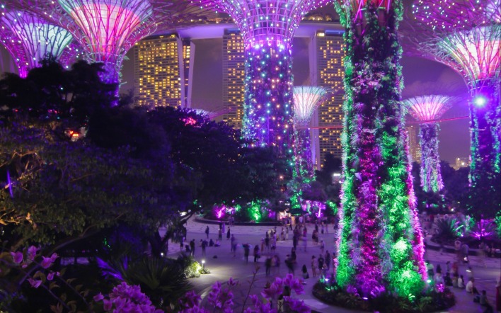 сингапур парк подсветка декорации