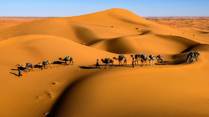 дюны караван верблюды песок пустыня