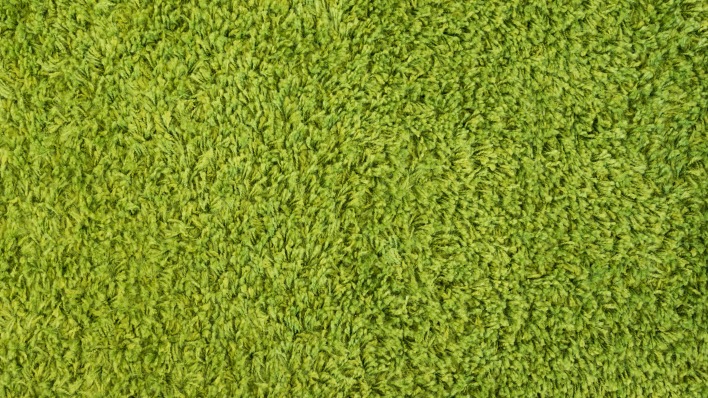 трава текстура водоросли