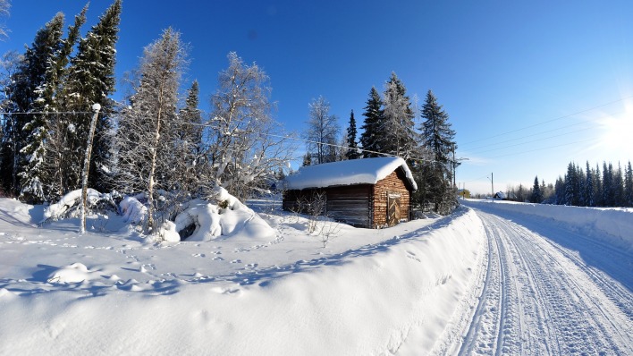 природа деревья зима снег дом