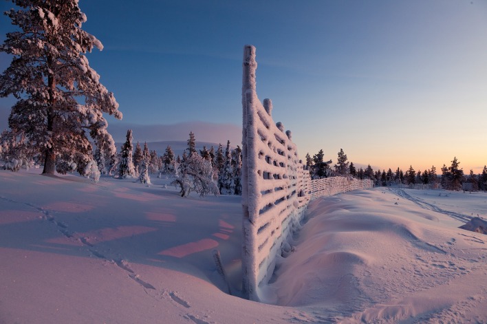 забор снег зима