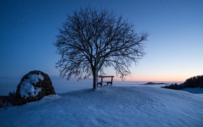 дерево скамейка зима снег