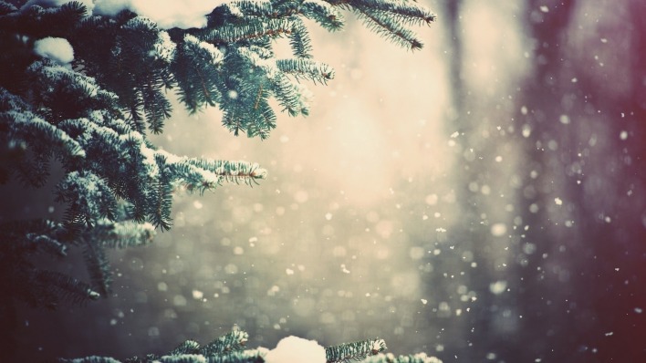 снег,идет,ель,деревья