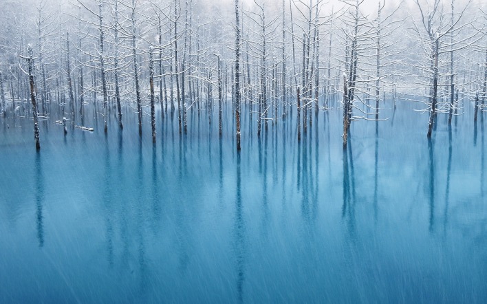 лед зима деревь вода