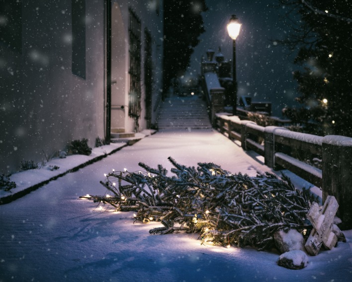 улица зима ель ночь снег новый год
