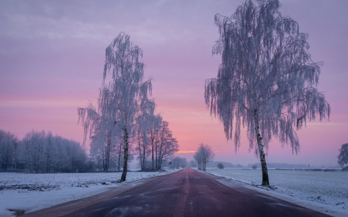 зима дорога деревья иней снег мороз