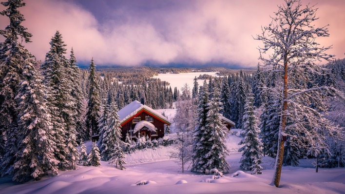 зима снег лес дом склон
