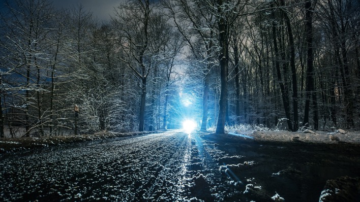 дорога зима деревья ночь фонарь лес