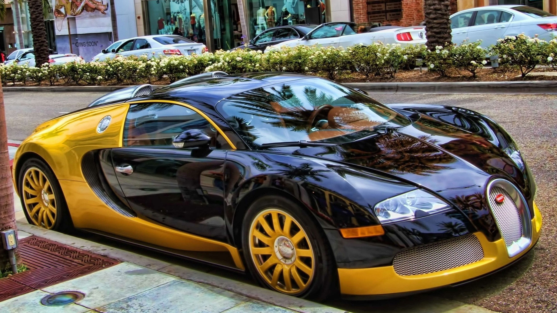 bugatti veyron