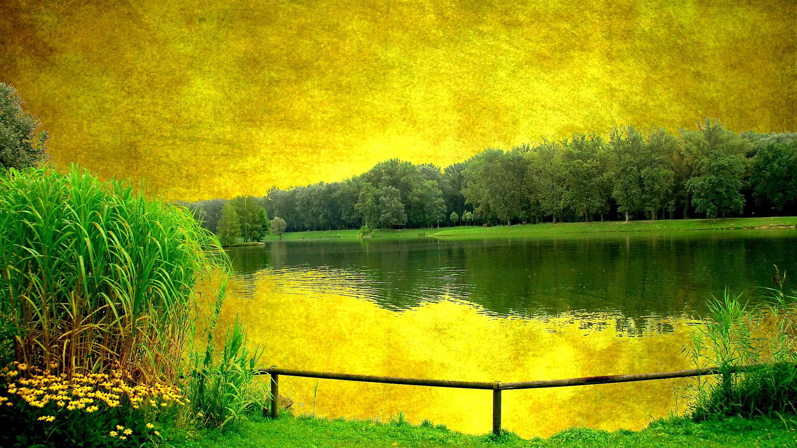 природа озеро деревья nature the lake trees
