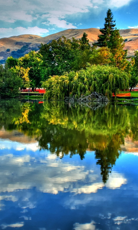 озеро отражение холмы зелень лето