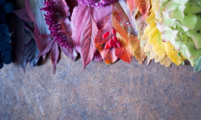 разноцветные листья, плитка