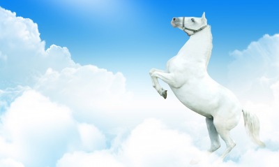 Белая лошадь в облаках