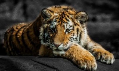 полосатый тигр