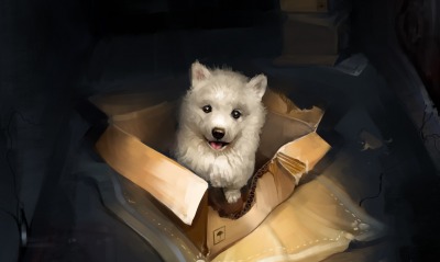 щенок, коробка