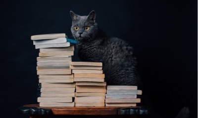 кот, книги