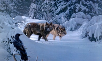 волки, зима