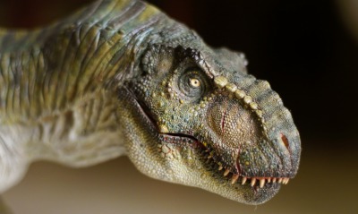 рептилия, динозавр