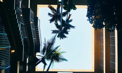 двор пальмы здание небо