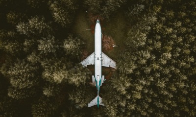 самолет, лес