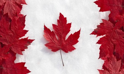 Флаг канады из листьев