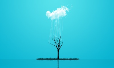 дерево, облако