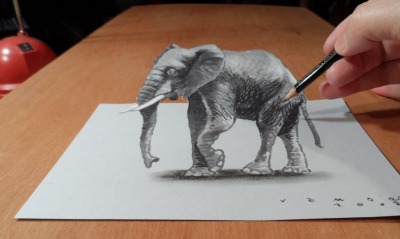 слон, рисунок