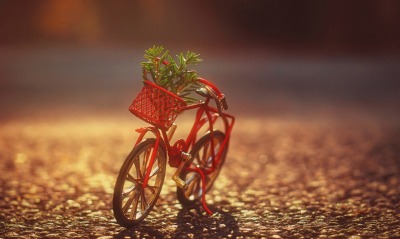 велосипед мини креатив корзинка